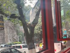-喧闹·东方大气茶(鹅岭二厂店)