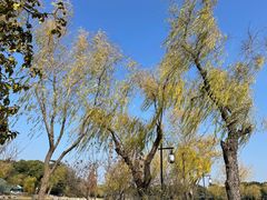 -相门城墙文化休闲景区