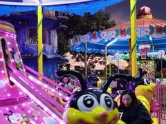 -锦江乐园舞狸花花游园会(夜场专享)