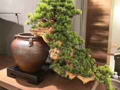 -韩山苑·潮州美食·私房菜(天安数码时代大厦店)