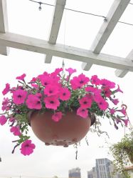 点击看大图 -伊莎贝拉婚礼庄园(顾村店)