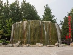 -合肥滨湖国家森林公园