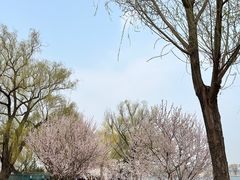 -颐和园