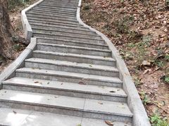 -神光山国家森林公园