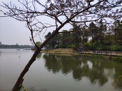 -美兰湖景区