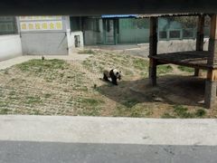 -石家庄市动物园