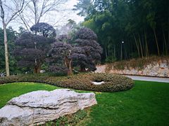 -紫金山天文台