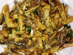 -鲤鱼塘农家山庄