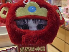 -九木杂物社(大族广场店)
