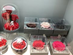 -ROSEONLY诺誓(国际广场购物中心店)