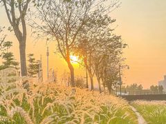 -佛山京华广场MALL