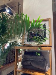 -M+hair salon专业造型沙龙