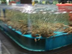 -阿伟海鲜楼·福建菜(延寿店)