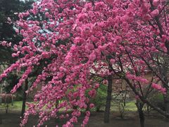 -中国建设银行哈尔滨培训中心