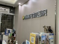 -瑞鹏宠物医院华南总院·夜诊·心脏科·骨科