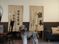 -沏点Trattoria意大利餐厅(新街口店)