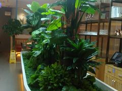 -悦海·家宴·冰花皮皮虾大锅贴(宝龙店)