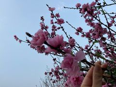 -乌山风景区