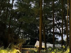 -大屏嶂森林公园