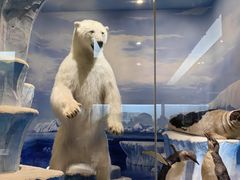 -国家自然博物馆