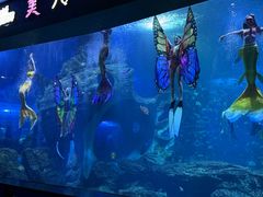 -多彩贵州城极地海洋世界