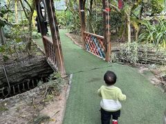 -呀路古热带植物园
