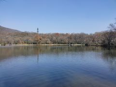 -紫霞湖公园