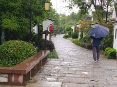 -绍兴鲁迅故里·沈园景区