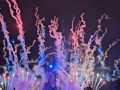 -巴黎迪士尼乐园