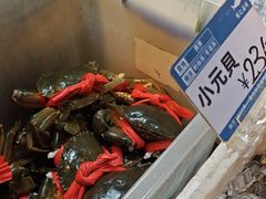 -强记海鲜·大排档(蛇口新街店)