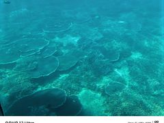 -亚龙湾海底世界