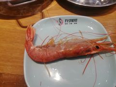 -九寸花汀(摩天活力城店)