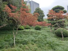 -后襄河公园
