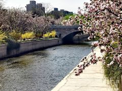-海棠花溪(元大都城垣遗址公园)
