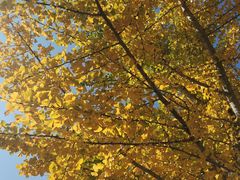 -辽东学院(南校区)