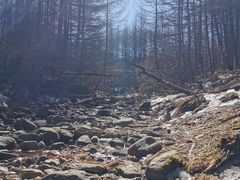 -秦岭风景区