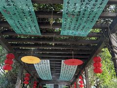 -白马涧龙池景区