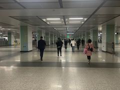 -宋家庄(地铁站)