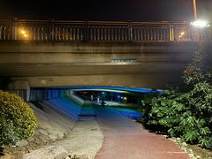 -滨湖塘西河公园
