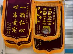 -美迦爱-牙专科·兔科·骨科诊疗中心(北苑店)