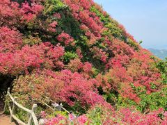 -木兰云雾山