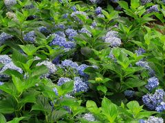 -开能健康科技园(川大路店)