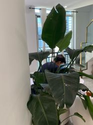 -Dr.Jane皮肤管理中心