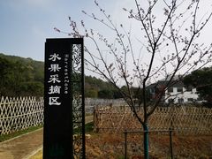 -龙寺生态园