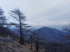 -朱雀国家森林公园