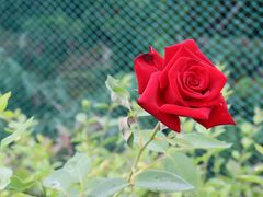 -仙海旅游度假区