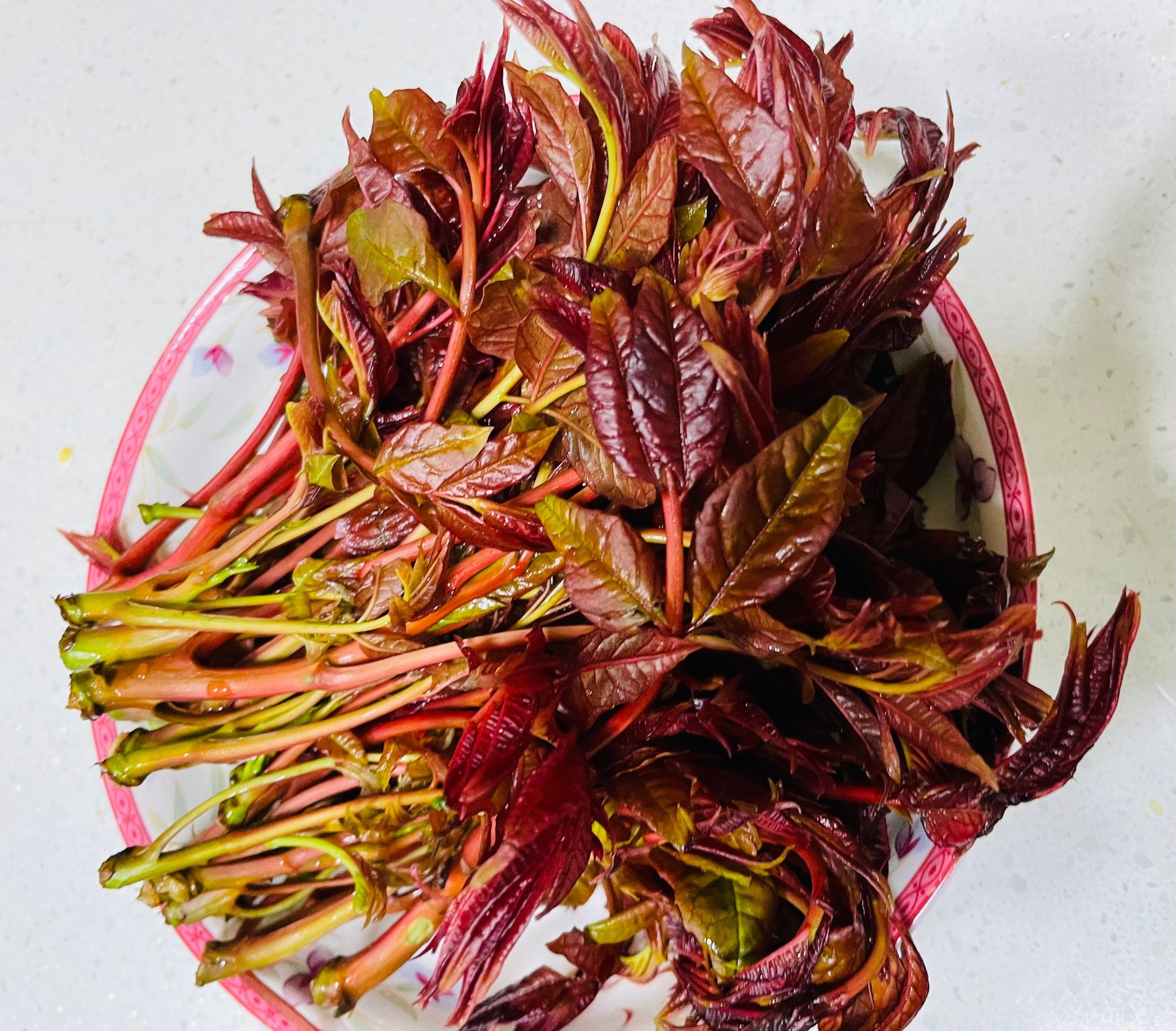 在十三朝古都寻觅最正宗的陕南春芽