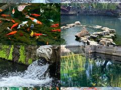 -老济南·地道济南菜(大明湖店)