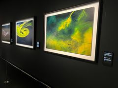 -罗红摄影艺术馆