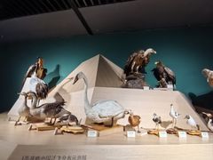 -中国湿地博物馆